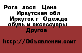 Рога  лося › Цена ­ 4 000 - Иркутская обл., Иркутск г. Одежда, обувь и аксессуары » Другое   